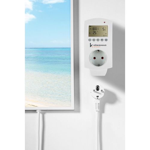  Koenighaus Fern Infrarotheizung - Bildheizung in HD Qualitat mit TUEV/GS - 200+ Bilder  mit Smart Home Thermostat, steuerbar mit APP fuer Handy- 1000 Watt (40. Insel Palme und Meer)