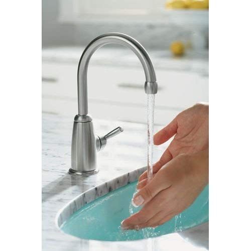  Kohler KOHLER K-6665-G Wellspring Beverage Faucet, Brushed Chrome