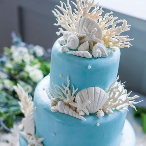  [아마존베스트]Konsait Mermaid Tail Ocean Seashell Mold (6pcs),Silicone Cake Fondant Baking Molds Chocolate Candy Baking Tool for Wedding Birthday Party Cake Decoration Cupcake Topper