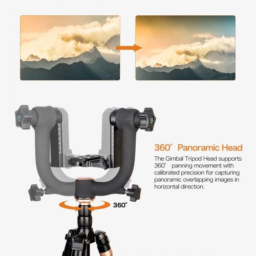  Koolehaoda Q45 Gimbal Head Heavy Duty Metal Gimbal Tripod Head with Arca-Type Quick Release Plate and Bubble Level for DSLR Cameras up to 26lbs/12kg