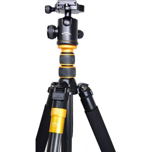  Koolehaoda Q-666C Portable Carbon Tripod Monopod Kit & Ball Head Compact Travel for All Canon Sony, Nikon, Samsung, Panasonic, Olympus, Kodak, Fuji, Cameras and Video Camera