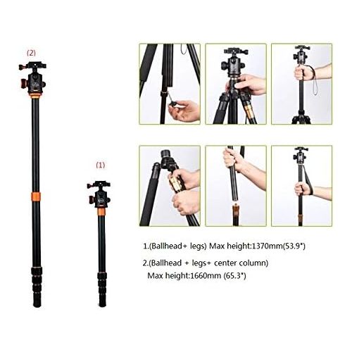  Koolehaoda Professional 64” Tripod Monopod & Ball Head Carry Bag Max Load:20kg,max D: 28mm