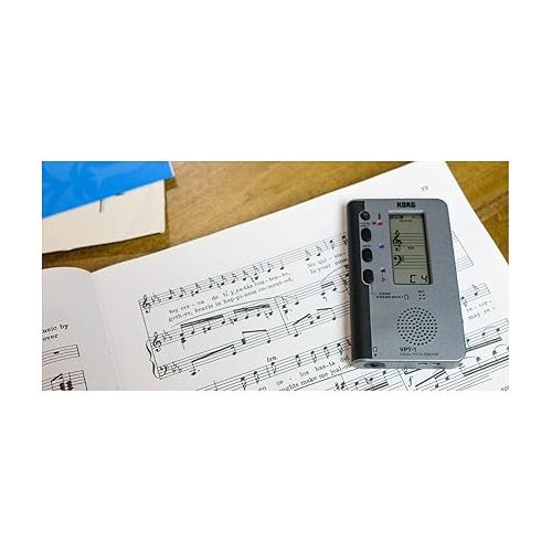  Korg Vocal Tuner, Silber (VPT-1)