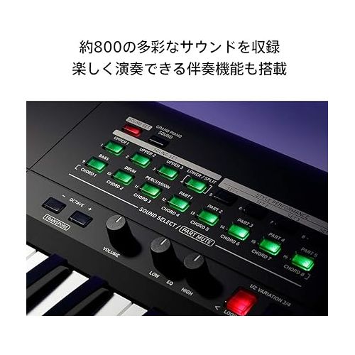  Korg i3 Music Workstation