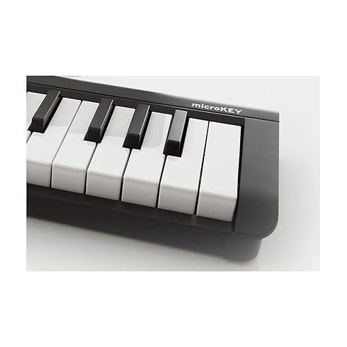  Korg Keyboard Amplifier, 61-Key (MICROKEY261),Black