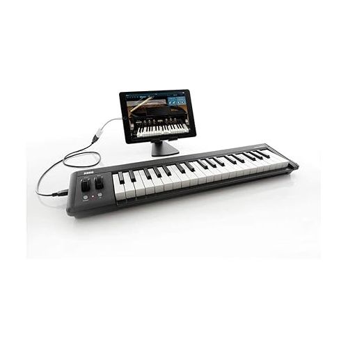  Korg Keyboard Amplifier, 61-Key (MICROKEY261),Black