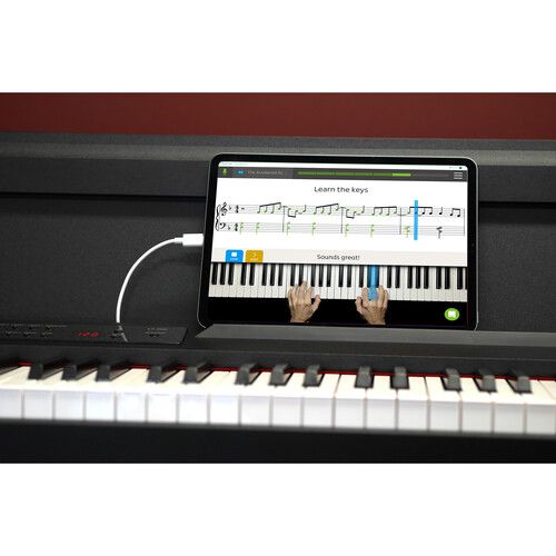  Korg LP-380U 88-Key Slim Digital Piano with Speakers (Black)