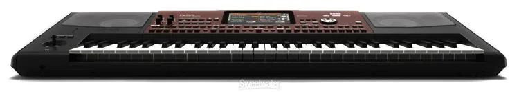  Korg Pa700 61-key Arranger Workstation