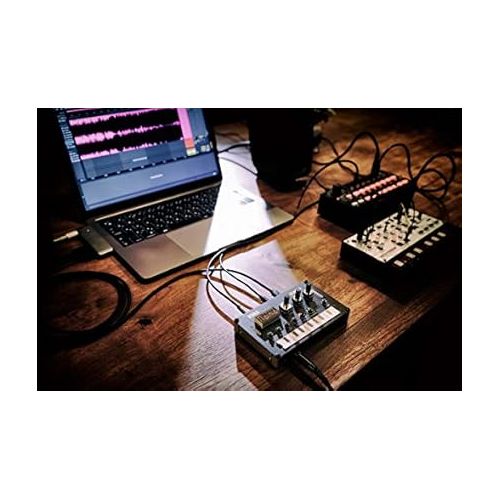  Korg Nu:tekt NTS-1 Programmable Synthesizer Kit Bundle with MIDI Cable and Austin Bazaar Polishing Cloth