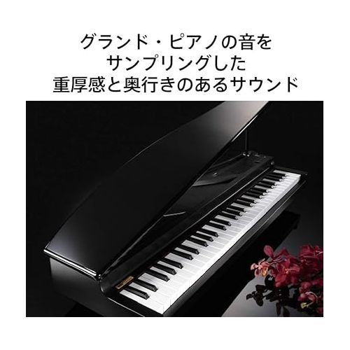  Korg microPiano 61 - Key Minature Grand Piano, Black