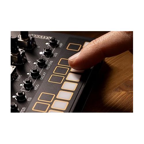  Korg Synthesizer (NTS1DIGITAL2)