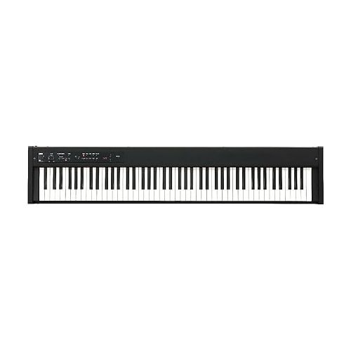  Korg D1 88-Key Digital Piano Bundle with Keyboard Bench, X Keyboard Stand, and Cables (2-Pack) (5 Items)