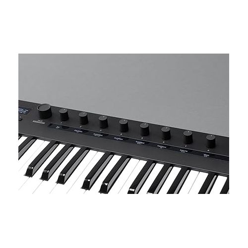  Korg, 61-Key Midi Controller, Compact (KEYSTAGE61)