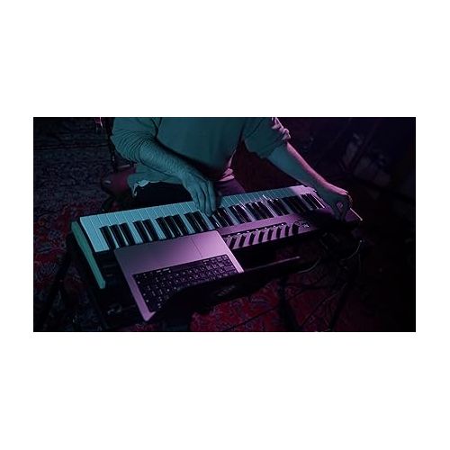  Korg, 61-Key Midi Controller, Compact (KEYSTAGE61)