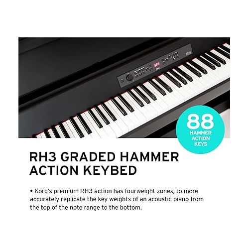  Korg, 88-Key Digital Pianos-Home (GB1AIRBR)