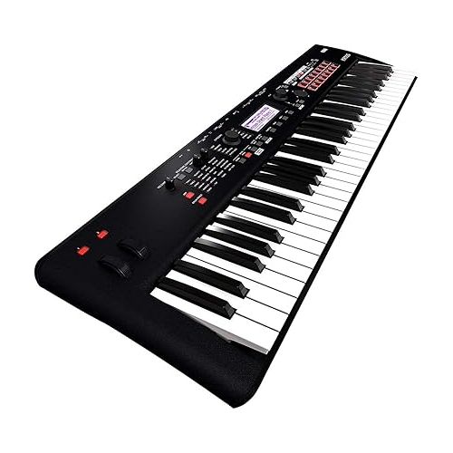  Korg Kross 2 61-Key Performance Synthesizer Workstation with Increased Sounds, Sampling and Trigger Pads