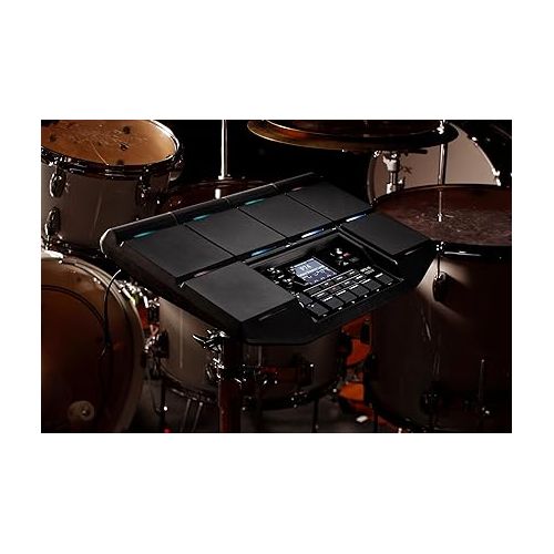  Korg Electronic Drum Pad, Black (MPS10)