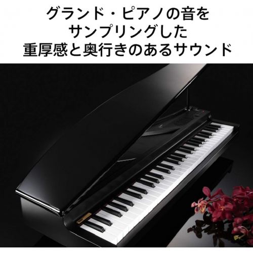  Korg microPiano 61 - Key Minature Grand Piano, Black: Musical Instruments