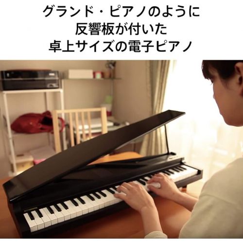  Korg microPiano 61 - Key Minature Grand Piano, Black: Musical Instruments