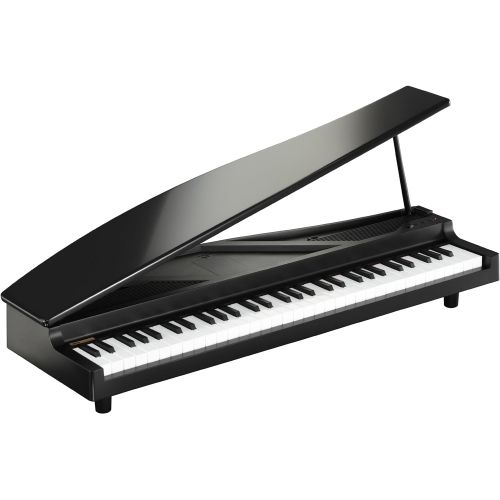  Korg microPiano 61 - Key Minature Grand Piano, Black: Musical Instruments