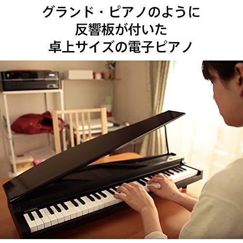 Korg microPiano 61 - Key Minature Grand Piano, Red: Musical Instruments