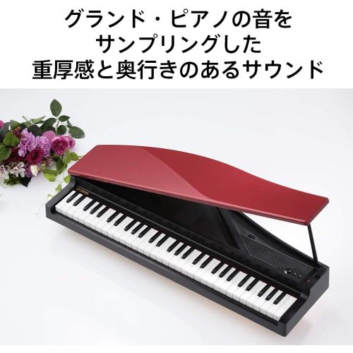  Korg microPiano 61 - Key Minature Grand Piano, Red: Musical Instruments