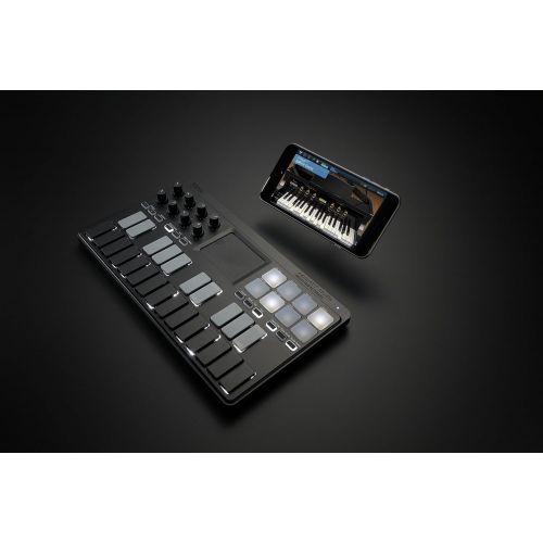  Korg Midi Controller (NANOKEY-ST)