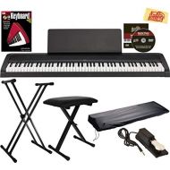 [아마존베스트]Korg B2 Digital Piano - Black Bundle with Adjustable Stand, Bench, Dust Cover, Sustain Pedal, Instructional Book, Instructional DVD, and Austin Bazaar Polishing Cloth