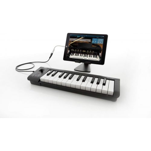  [아마존베스트]Korg microKEY 25 USB MIDI Keyboard