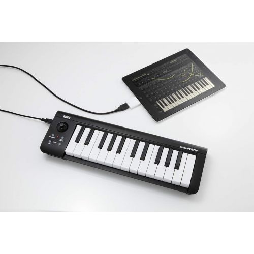  [아마존베스트]Korg microKEY 25 USB MIDI Keyboard