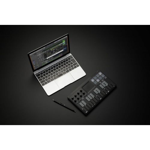  [아마존베스트]Korg Midi Controller (NANOKEY-ST)