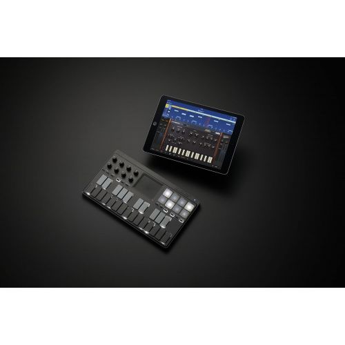  [아마존베스트]Korg Midi Controller (NANOKEY-ST)