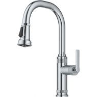 KRAUS Allyn Industrial Pull-Down Single Handle Kitchen Faucet in Chrome, KPF-4102CH