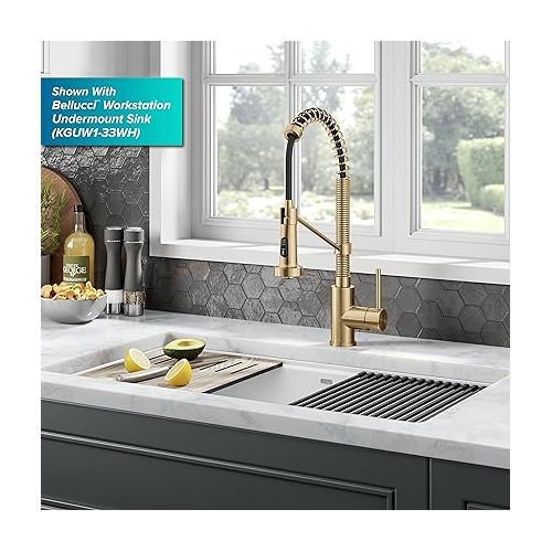  KRAUS Bolden Commercial Style Pull-Down Single Handle 18-Inch Kitchen Faucet in Brushed Brass, KPF-1610BB