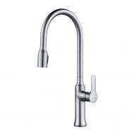 Kraus KPF-1660CH Kitchen Faucet Chrome