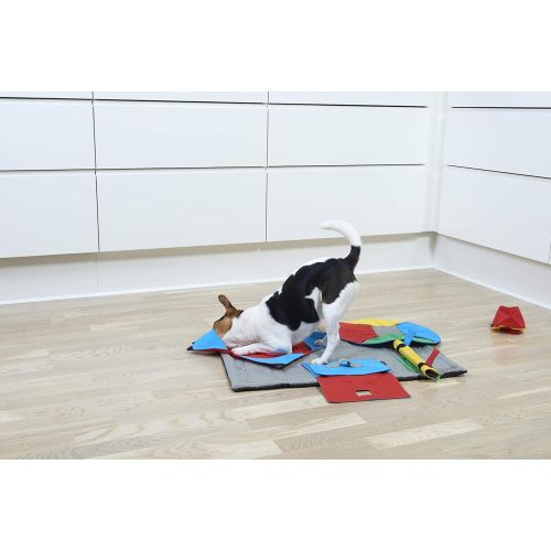  Kruuse Task for Buster Activity Mat, Rat Trap