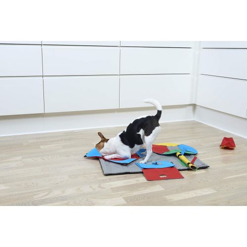  Kruuse Task for Buster Activity Mat, Book