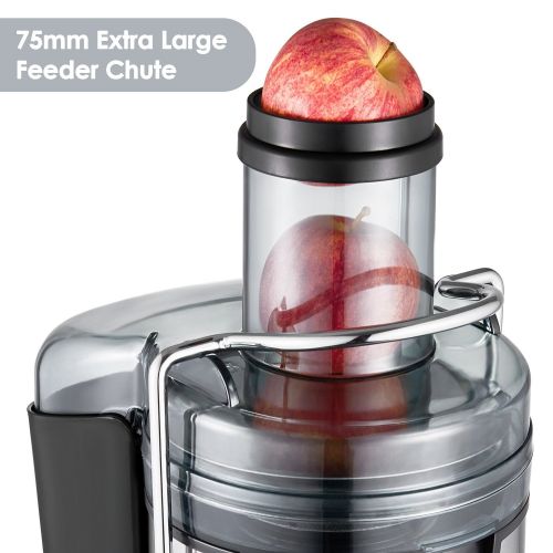  Ktaxon 800W Stainless Steel Fruit & Vegetable Juicer, Juice Container, Electric Juice Machine Juice Extractor