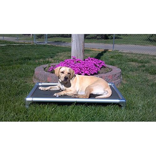  Kuranda Dog Bed - Chewproof - All Aluminum (Silver) - Indoor/Outdoor - Cordura Fabric