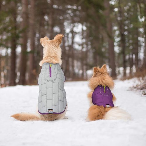  Kurgo Dog Jacket | Reversible Winter Jacket for Dogs | Pet Coat for Hiking | Water Resistant | Reflective | Lightweight | Wear with Harness | Athletic | Loft Jacket | For Small, Me