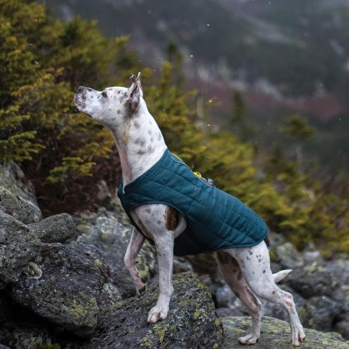  Kurgo Dog Jacket Reversible Winter Jacket for Dogs Pet Coat for Hiking Water Resistant Reflective Lightweight Loft Jacket K9 Core Sweater for Small, Medium, Large Dogs