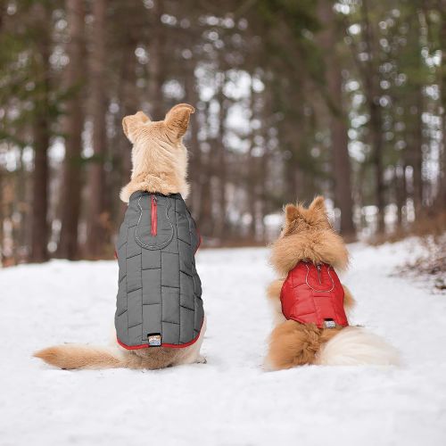  Kurgo Dog Jacket | Reversible Winter Jacket for Dogs | Pet Coat for Hiking | Water Resistant | Reflective | Lightweight | Wear with Harness | Athletic | Loft Jacket | For Small, Me