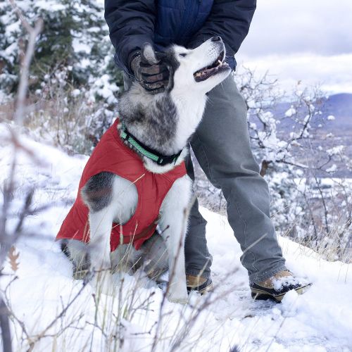  Kurgo Dog Jacket | Reversible Winter Jacket for Dogs | Pet Coat for Hiking | Water Resistant | Reflective | Lightweight | Wear with Harness | Athletic | Loft Jacket | For Small, Me