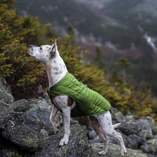  Kurgo Dog Jacket | Reversible Winter Jacket for Dogs | Pet Coat for Hiking | Water Resistant | Reflective | Lightweight | Wear with Harness | Athletic | Loft Jacket | For Small, Me