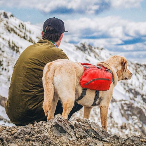  [아마존베스트]Kurgo Dog Saddlebag Backpack | Back Pack Dog Harness | Hiking Pack for Dogs | Packs for Pets to Wear | Camping & Travel Vest Harness | Reflective | Lightweight | Baxter Pack | For