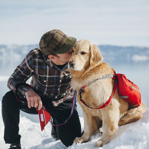  [아마존베스트]Kurgo Dog Saddlebag Backpack | Back Pack Dog Harness | Hiking Pack for Dogs | Packs for Pets to Wear | Camping & Travel Vest Harness | Reflective | Lightweight | Baxter Pack | For