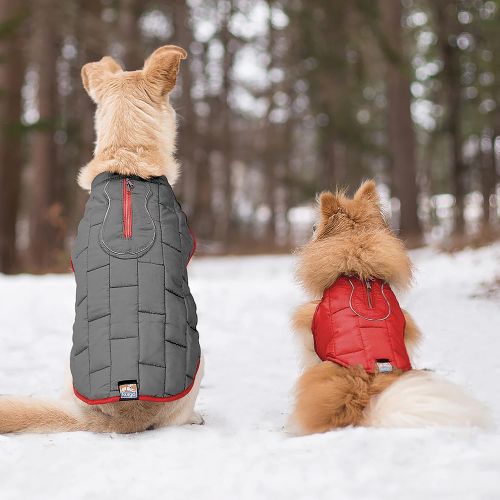  Kurgo Dog Jacket | Reversible Winter Jacket for Dogs | Pet Coat for Hiking | Water Resistant | Reflective | Lightweight | Wear with Harness | Athletic | Loft Jacket | For Small, Me