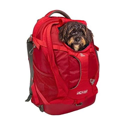  Kurgo Dog Carrier Backpack for Small Dogs & Cats | G-Train Pet Backpack Carrier | Airline Approved | Cat Backpack | Small Dog Backpack for Hiking & Travel | Lightweight | Waterproo