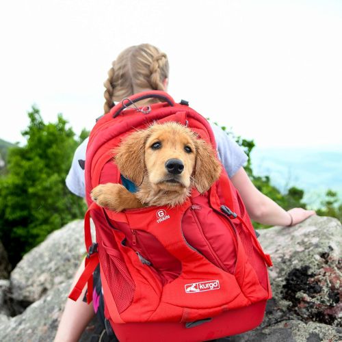  Kurgo Dog Carrier Backpack for Small Dogs & Cats | G-Train Pet Backpack Carrier | Airline Approved | Cat Backpack | Small Dog Backpack for Hiking & Travel | Lightweight | Waterproo