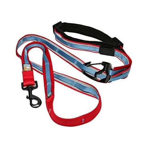  Kurgo 6 in 1 Hands Free Dog Leash | Reflective Running Belt Leash for Dogs | Crossbody & Waist Belt Leash | Carabiner Clip | Padded Handle | For Training, Hiking, or Jogging | Quan